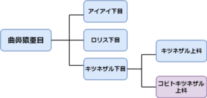 drawit diagram